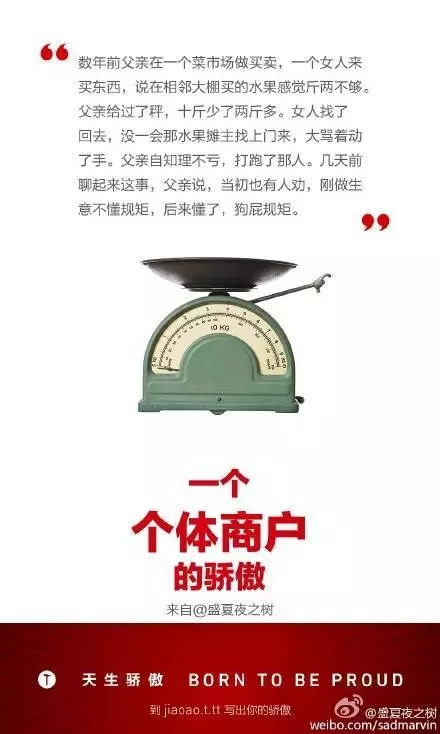 锤子科技天生骄傲系列精选文案：一个个体户的骄傲
